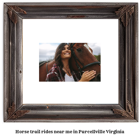 horse trail rides near me in Purcellville, Virginia